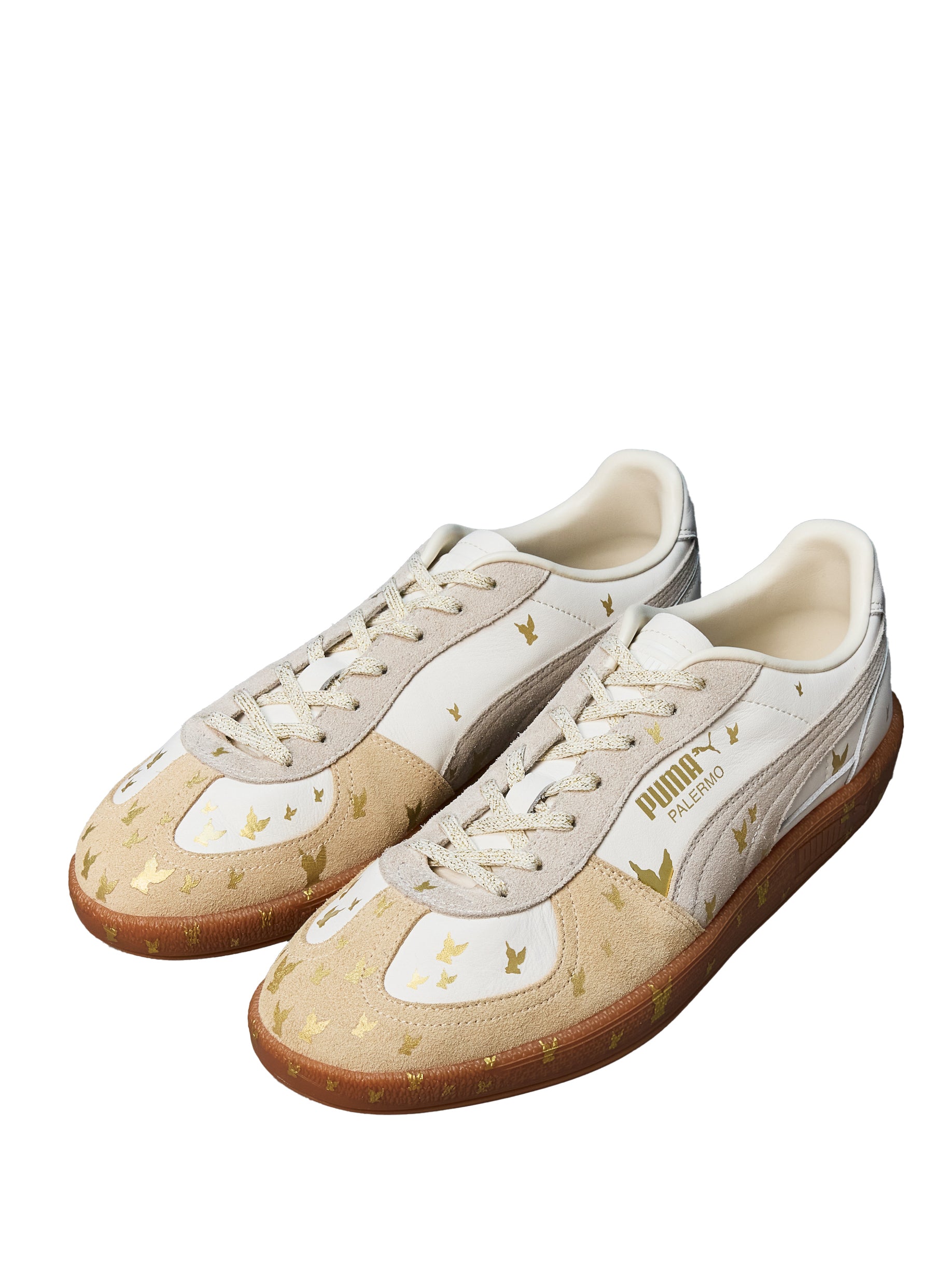 MASU 