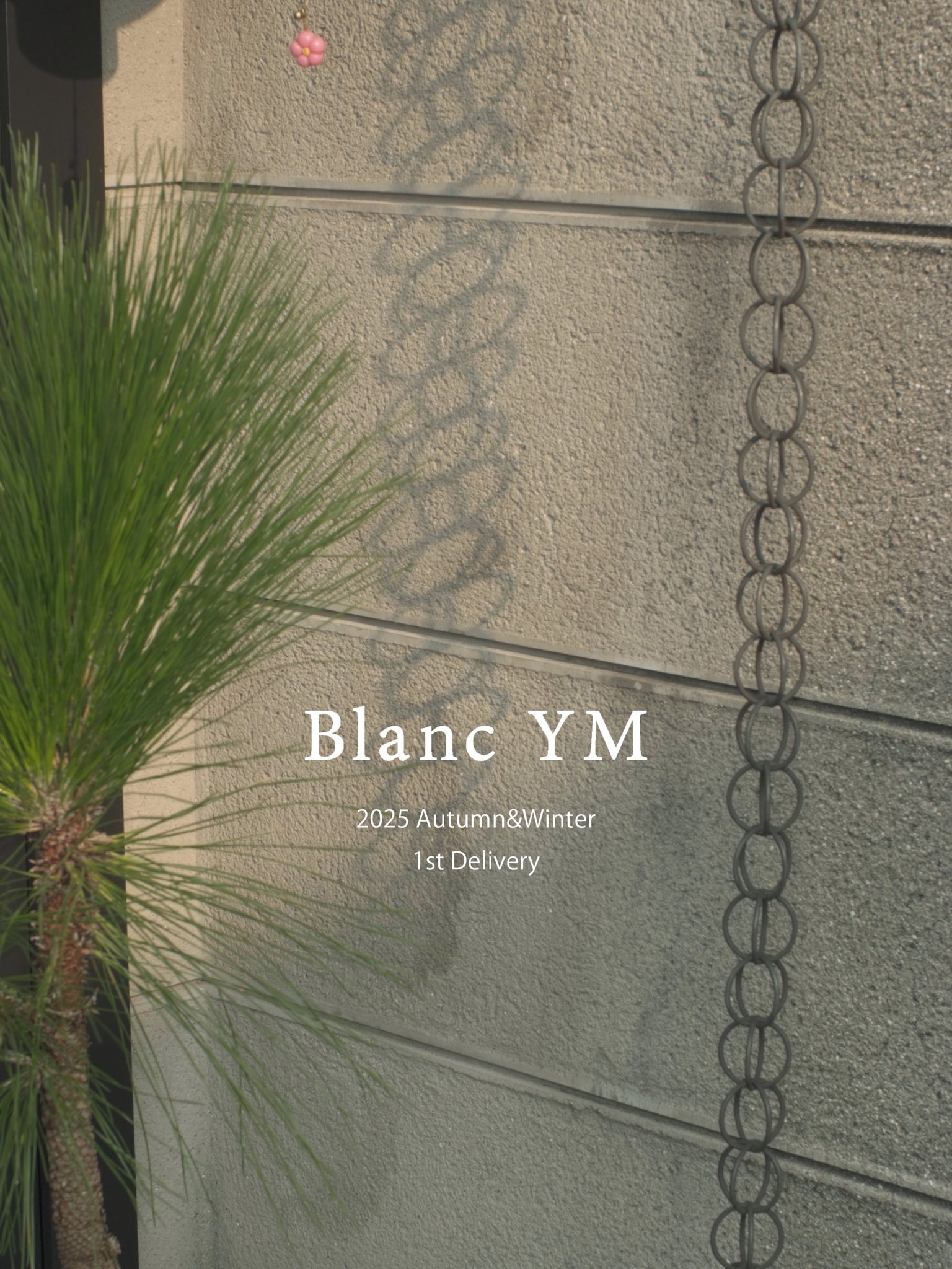 Blanc YM 25SS 1st Delivery